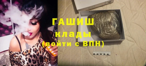 стаф Алексин