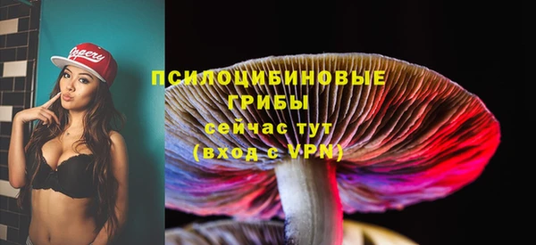 МДПВ Алзамай